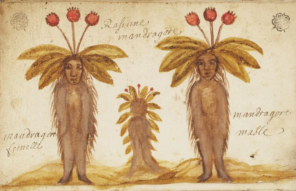 # 11: A fragrant potpourri of news